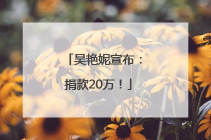 吴艳妮宣布：捐款20万！
