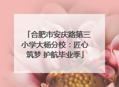 合肥市安庆路第三小学大杨分校：匠心筑梦 护航毕业季