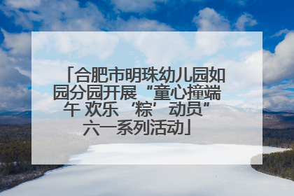 合肥市明珠幼儿园如园分园开展“童心撞端午 欢乐‘粽’动员”六一系列活动