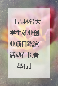 吉林省大学生就业创业项目路演活动在长春举行
