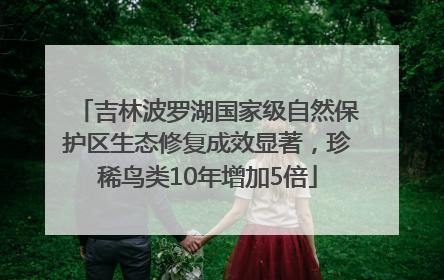 吉林波罗湖国家级自然保护区生态修复成效显著，珍稀鸟类10年增加5倍