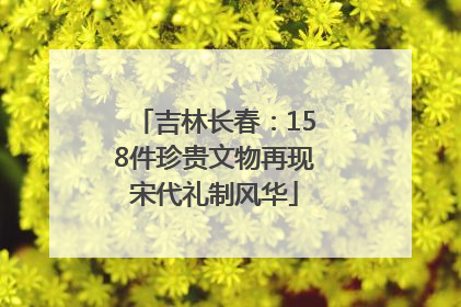吉林长春：158件珍贵文物再现宋代礼制风华