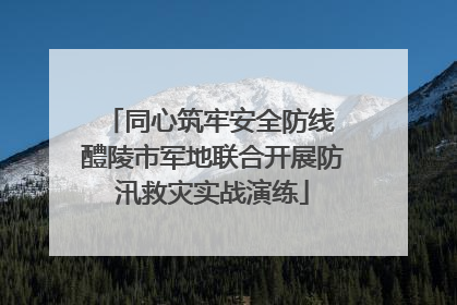 同心筑牢安全防线 醴陵市军地联合开展防汛救灾实战演练