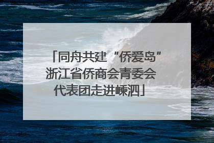 同舟共建“侨爱岛” 浙江省侨商会青委会代表团走进嵊泗