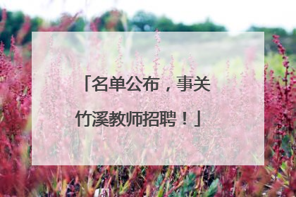 名单公布，事关竹溪教师招聘！