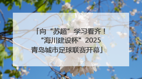 向“苏超”学习看齐！“海川建设杯”2025青岛城市足球联赛开幕