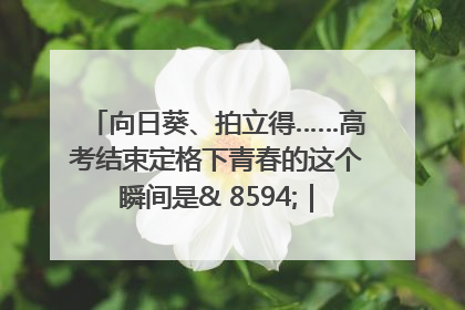 向日葵、拍立得……高考结束定格下青春的这个瞬间是& 8594;｜2025四川高考