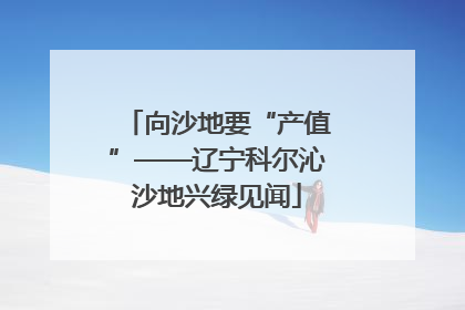 向沙地要“产值”——辽宁科尔沁沙地兴绿见闻