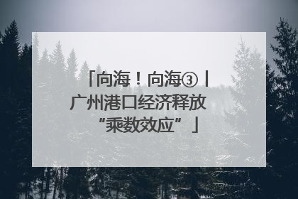 向海！向海③丨广州港口经济释放“乘数效应”