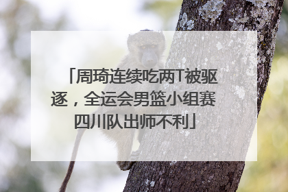 周琦连续吃两T被驱逐，全运会男篮小组赛四川队出师不利