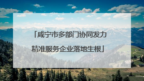 咸宁市多部门协同发力 精准服务企业落地生根
