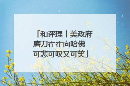 和评理丨美政府磨刀霍霍向哈佛 可悲可叹又可笑