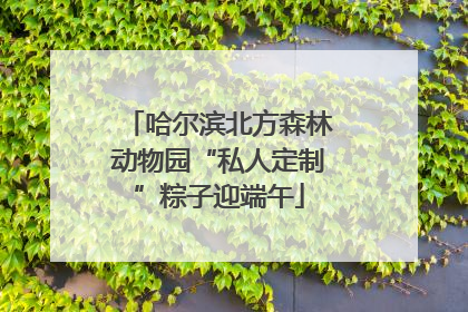哈尔滨北方森林动物园“私人定制”粽子迎端午