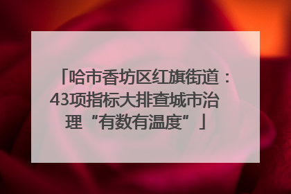 哈市香坊区红旗街道：43项指标大排查城市治理“有数有温度”