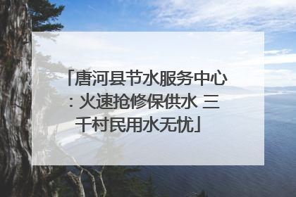 唐河县节水服务中心：火速抢修保供水 三千村民用水无忧