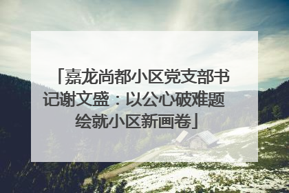 嘉龙尚都小区党支部书记谢文盛：以公心破难题 绘就小区新画卷