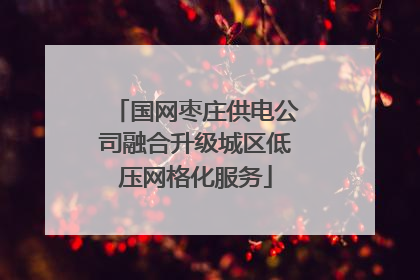 国网枣庄供电公司融合升级城区低压网格化服务
