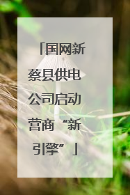 国网新蔡县供电公司启动营商“新引擎”