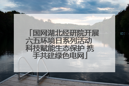 国网湖北经研院开展六五环境日系列活动 科技赋能生态保护 携手共建绿色电网