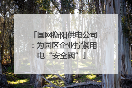 国网衡阳供电公司：为园区企业拧紧用电“安全阀”