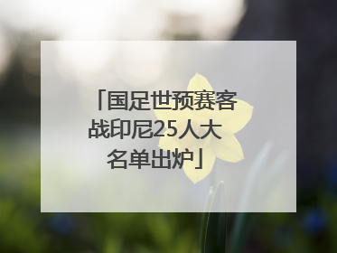 国足世预赛客战印尼25人大名单出炉