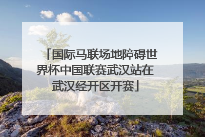 国际马联场地障碍世界杯中国联赛武汉站在武汉经开区开赛