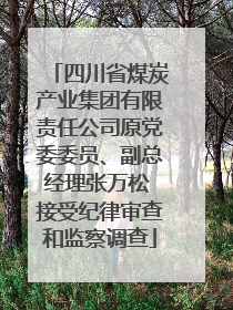四川省煤炭产业集团有限责任公司原党委委员、副总经理张万松 接受纪律审查和监察调查