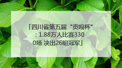 四川省第五届“贡嘎杯”：1.88万人比赛3300场 决出26组冠军