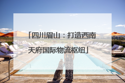 四川眉山：打造西南天府国际物流枢纽