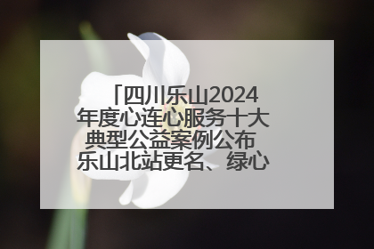 四川乐山2024年度心连心服务十大典型公益案例公布 乐山北站更名、绿心路井盖治理等上榜