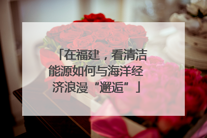 在福建，看清洁能源如何与海洋经济浪漫“邂逅”