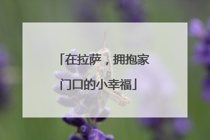 在拉萨，拥抱家门口的小幸福