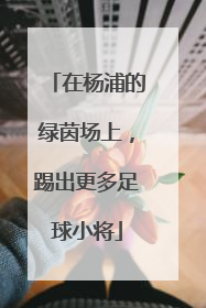 在杨浦的绿茵场上，踢出更多足球小将