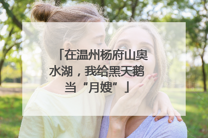 在温州杨府山奥水湖，我给黑天鹅当“月嫂”