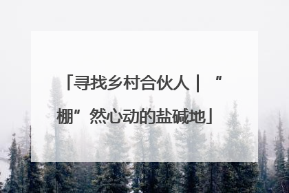 寻找乡村合伙人｜“棚”然心动的盐碱地
