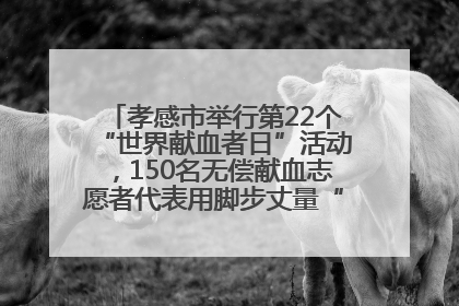 孝感市举行第22个“世界献血者日”活动，150名无偿献血志愿者代表用脚步丈量“中华孝爱第一山”
