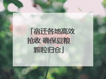 宿迁各地高效抢收 确保夏粮颗粒归仓