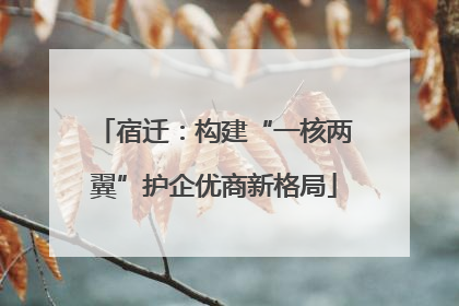 宿迁：构建“一核两翼”护企优商新格局