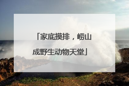 家底摸排，崂山成野生动物天堂