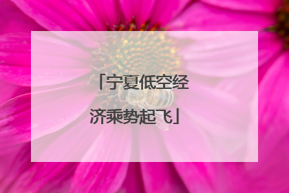 宁夏低空经济乘势起飞