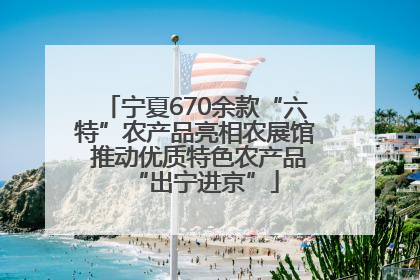 宁夏670余款“六特”农产品亮相农展馆 推动优质特色农产品“出宁进京”