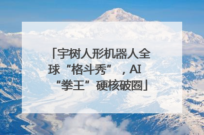 宇树人形机器人全球“格斗秀”，AI“拳王”硬核破圈