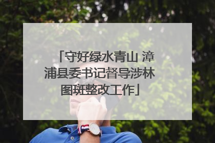 守好绿水青山 漳浦县委书记督导涉林图斑整改工作