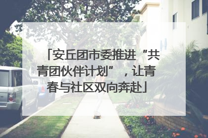 安丘团市委推进“共青团伙伴计划”，让青春与社区双向奔赴