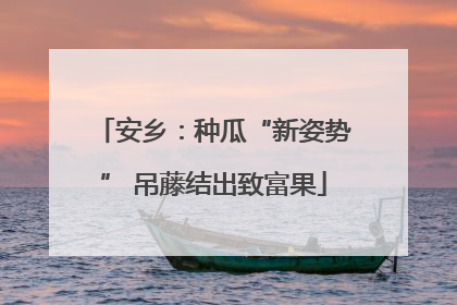 安乡：种瓜“新姿势” 吊藤结出致富果