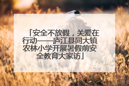 安全不放假，关爱在行动——庐江县同大镇农林小学开展暑假前安全教育大家访