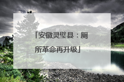 安徽灵璧县：厕所革命再升级