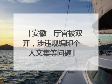 安徽一厅官被双开，涉违规编印个人文集等问题