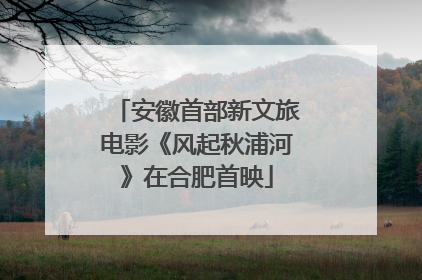安徽首部新文旅电影《风起秋浦河》在合肥首映