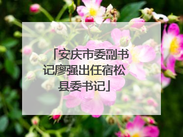 安庆市委副书记廖强出任宿松县委书记